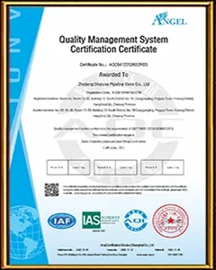 Certificate(4)