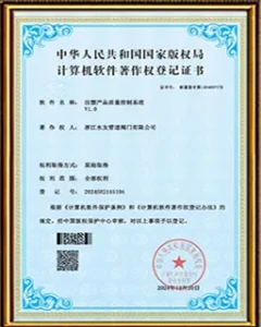 Certificate(9)